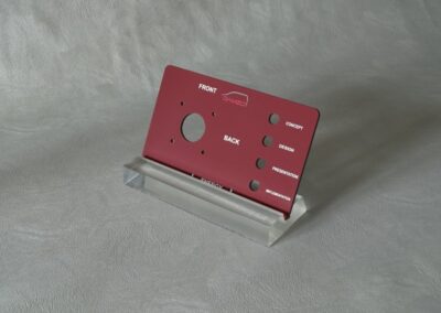 opcja kolorystyczna paneli firmy Damzo