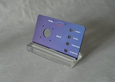 opcja kolorystyczna paneli firmy Damzo