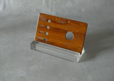 opcja kolorystyczna paneli firmy Damzo